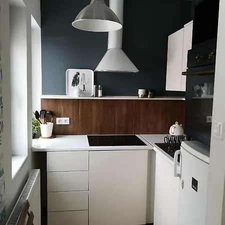 Przytulna Kawalerka W Kamienicy